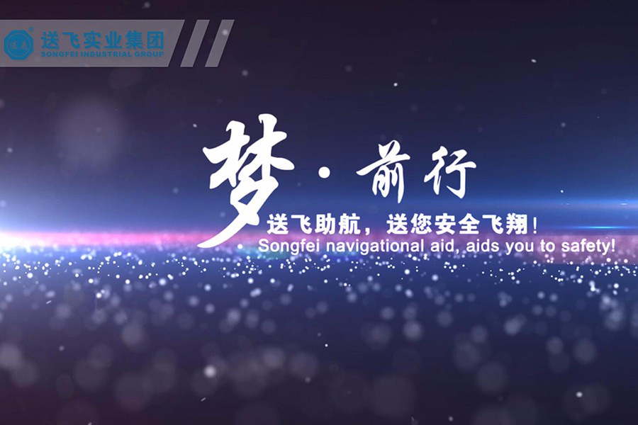 送飛實(shí)業(yè)集團(tuán) 企業(yè)宣傳片