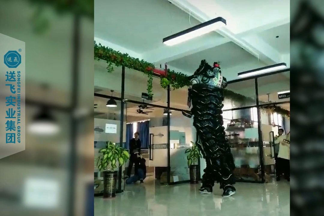 送飛實業(yè)集團：正月十五，舞獅鬧元宵 2019